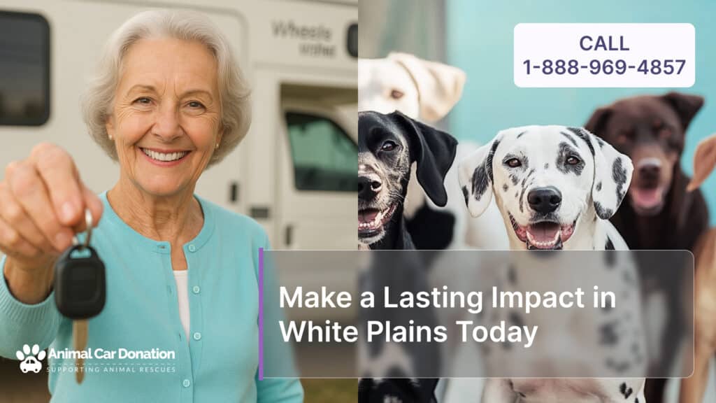 Make a Lasting Impact in White Plains Today