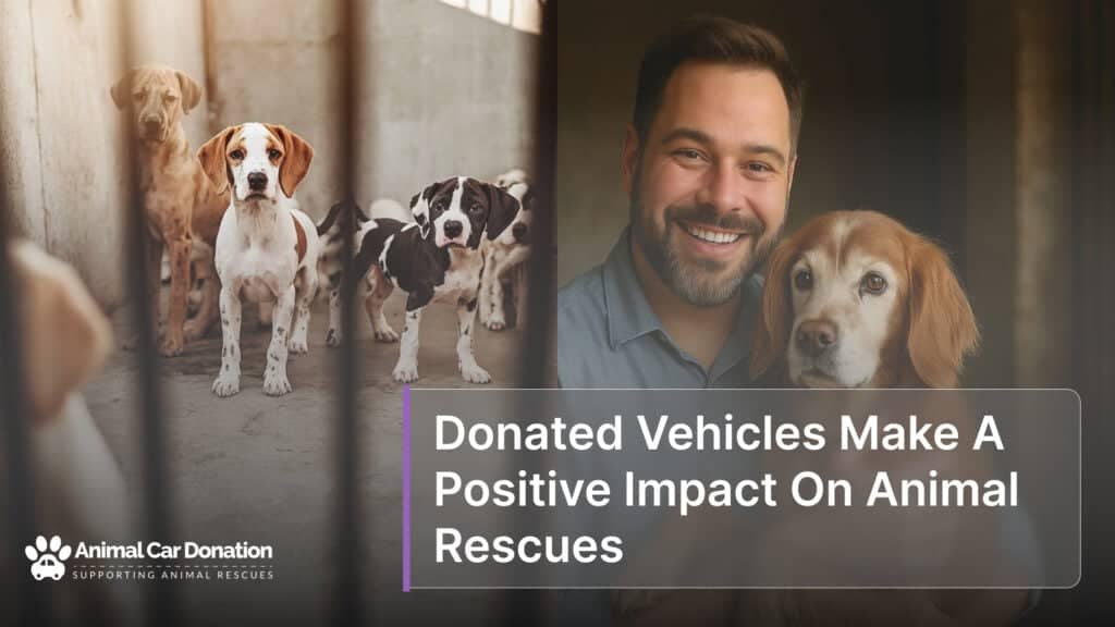 Donated Vehicles Make A Positive Impact On Animal Rescues