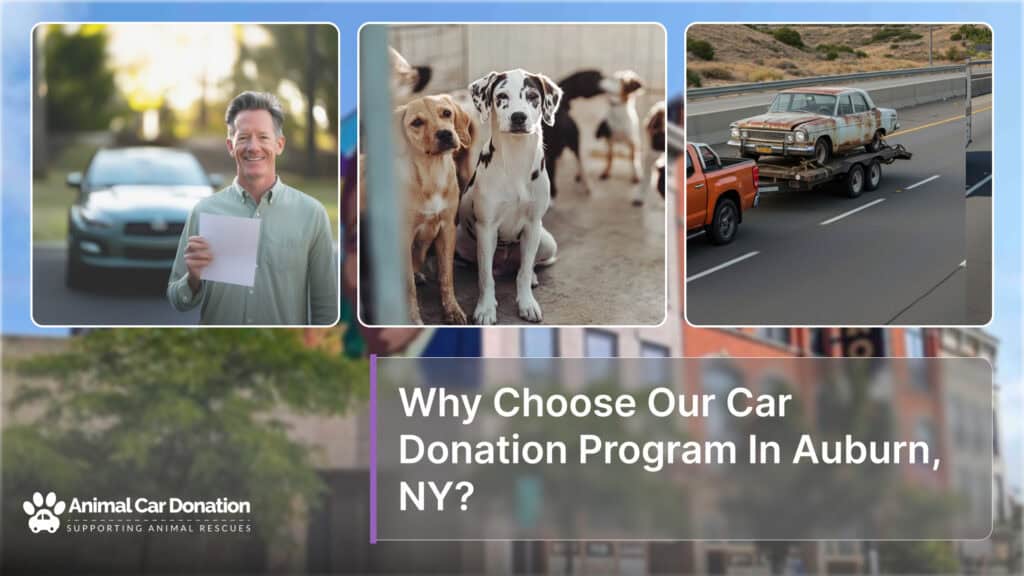 Why Choose Our Car Donation Program In Auburn, NY?