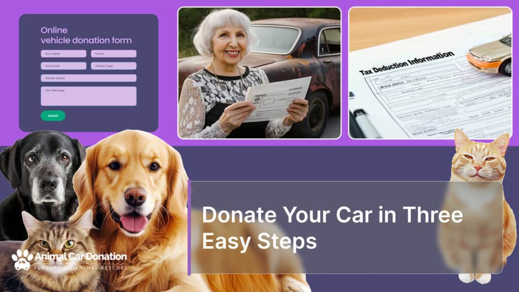 Donate Your Car in Three Easy Steps
