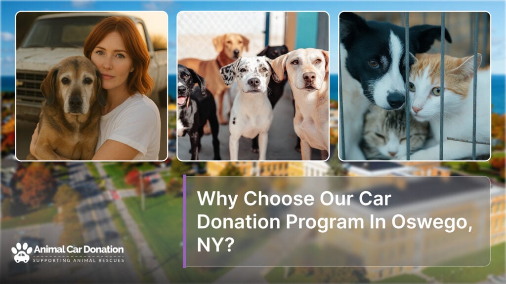 Why Choose Our Car Donation Program In Oswego, NY?