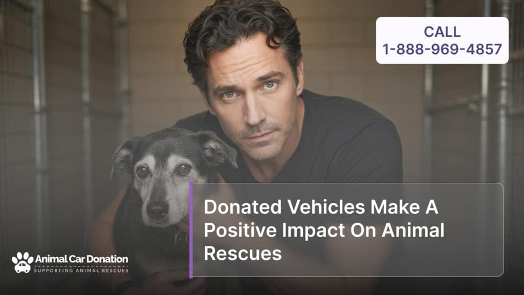 Donated Vehicles Make A Positive Impact On Animal Rescues