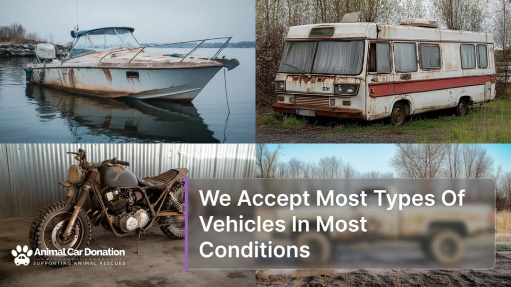 We Accept Most Types Of Vehicles In Most Conditions