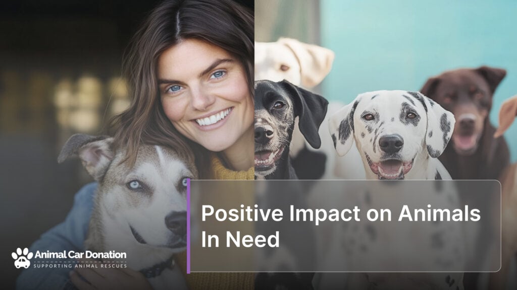Positive Impact on Animals In Need
