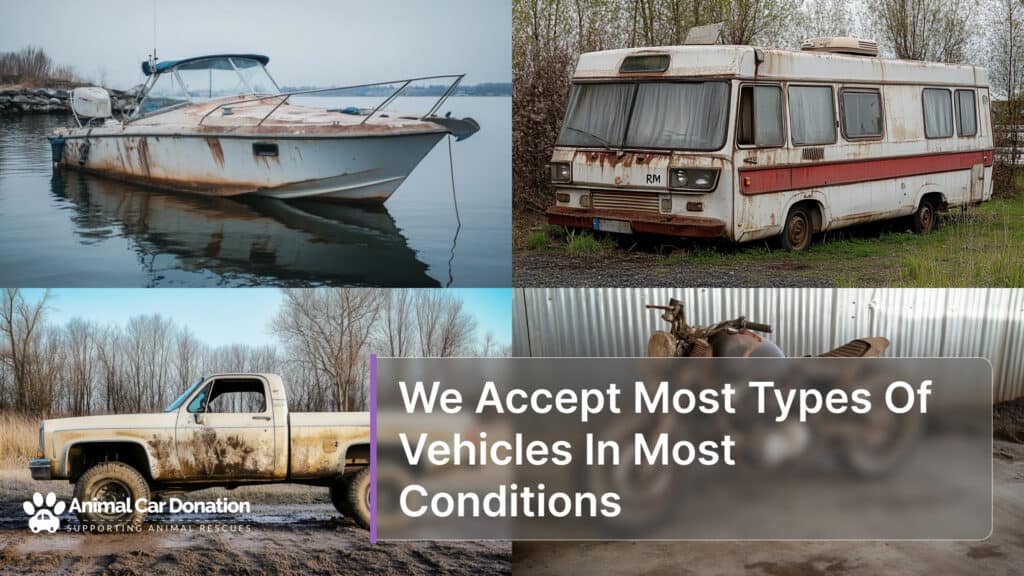 We Accept Most Types Of Vehicles In Most Conditions