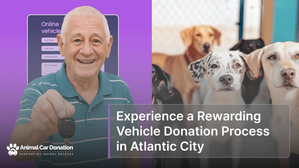 Experience a Rewarding Vehicle Donation Process in Atlantic City