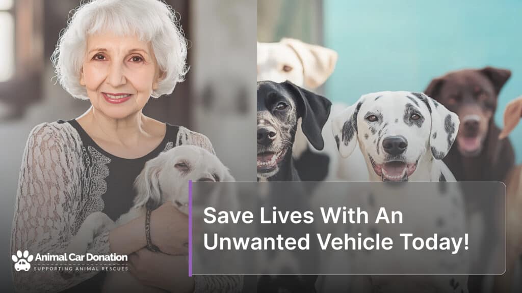 Save Lives With An Unwanted Vehicle Today!