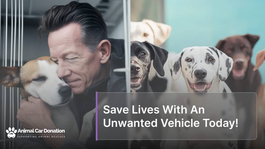 Save Lives With An Unwanted Vehicle Today!