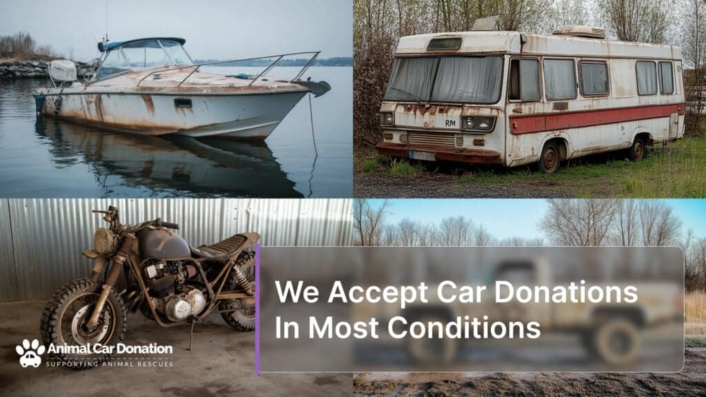 We Accept Car Donations In Most Conditions