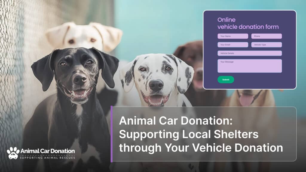 Animal Car Donation: Supporting Local Shelters through Your Vehicle Donation