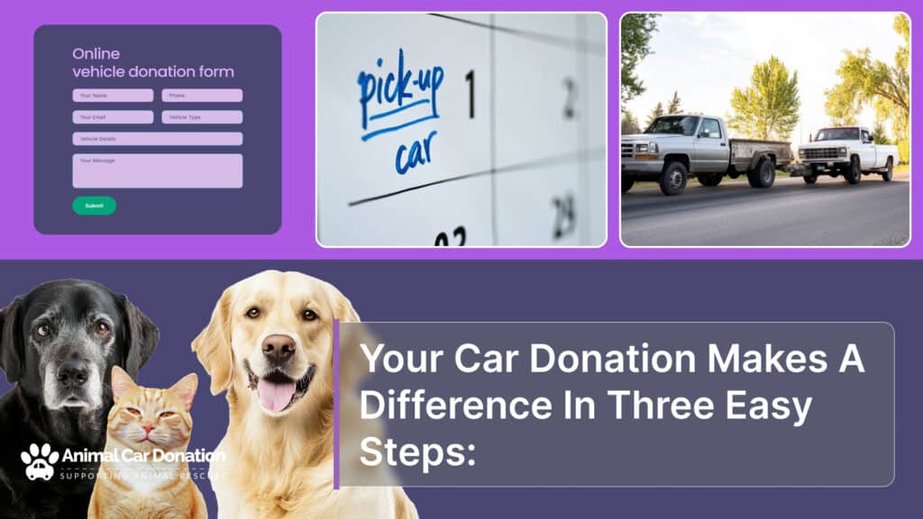 Your Car Donation Makes A Difference In Three Easy Steps: