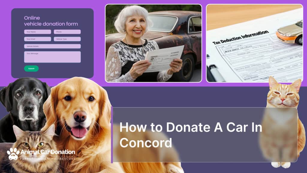 How to Donate A Car In Concord