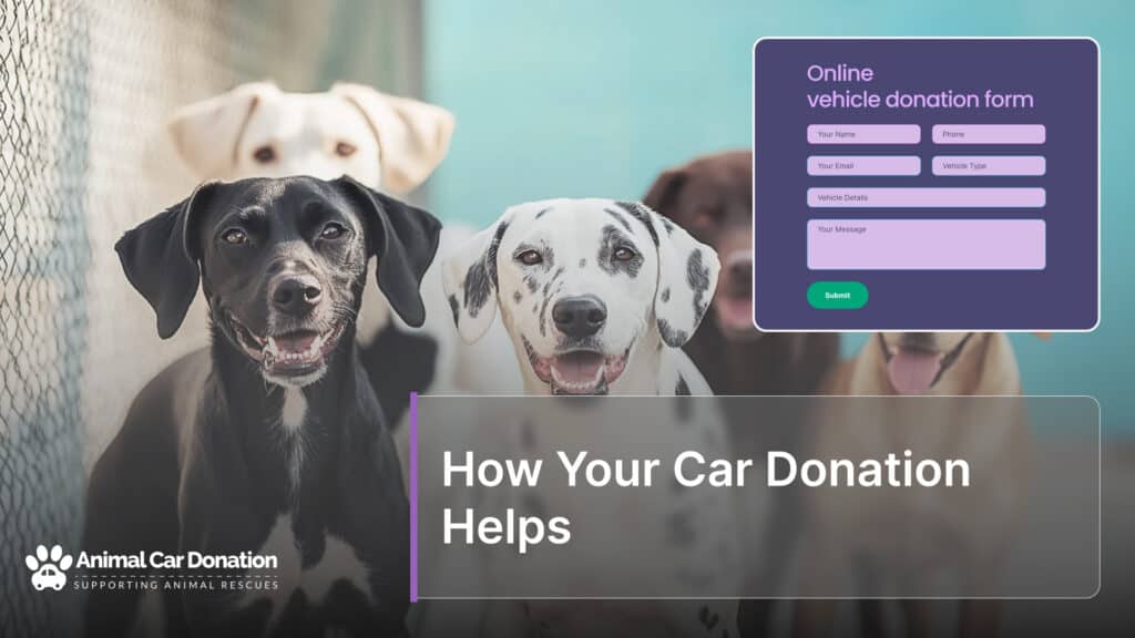 How Your Car Donation Helps