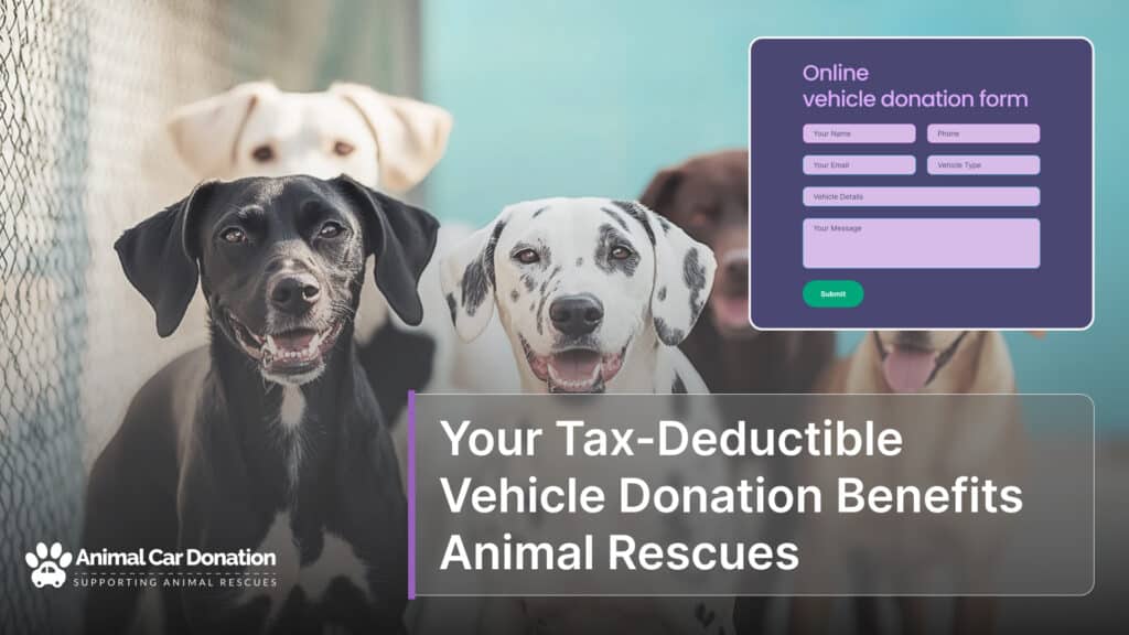Your Tax-Deductible Vehicle Donation Benefits Animal Rescues
