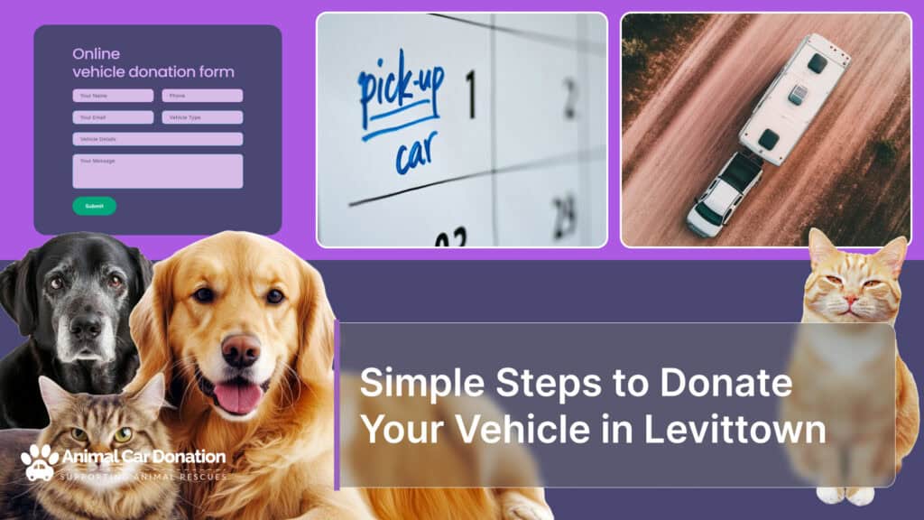 Simple Steps to Donate Your Vehicle in Levittown