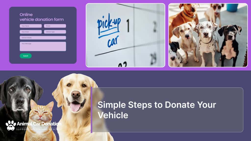 Simple Steps to Donate Your Vehicle