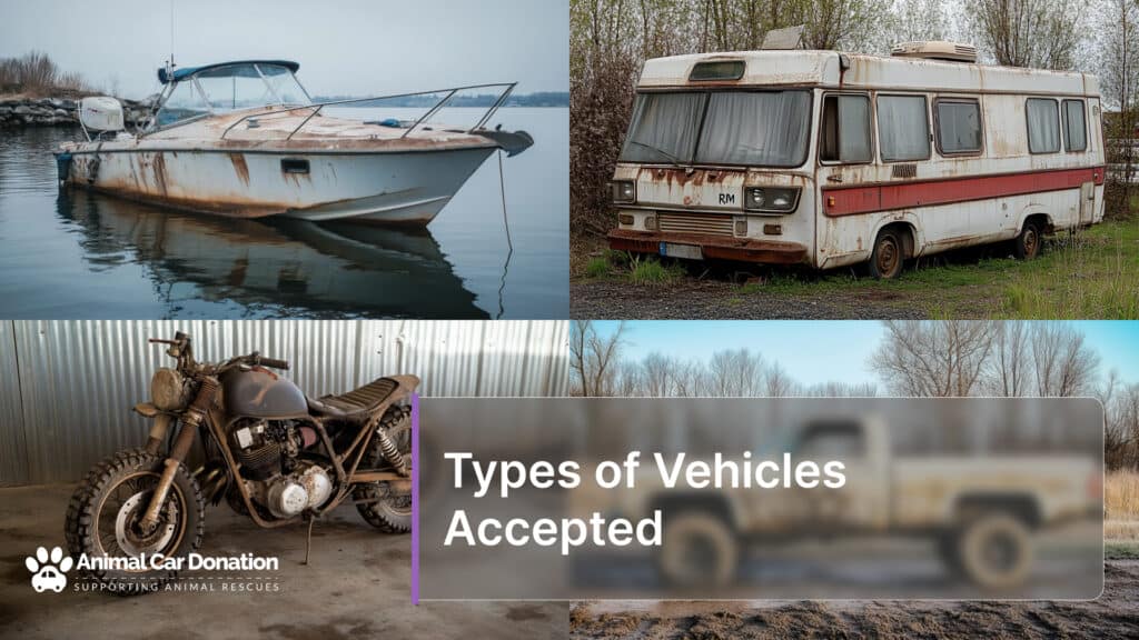 Types of Vehicles Accepted