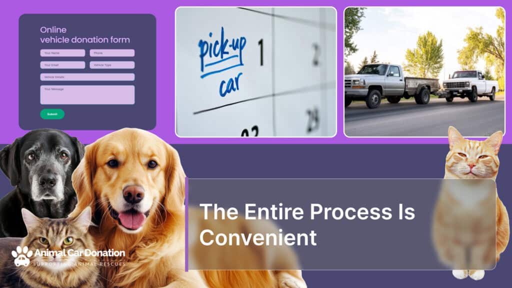 The Entire Process Is Convenient