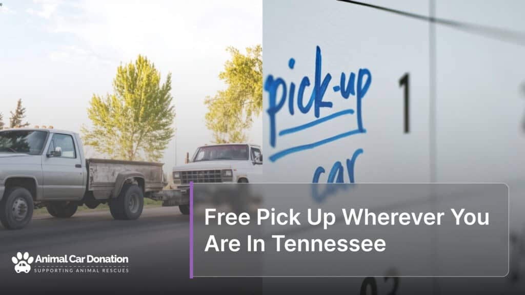 Free Pick Up Wherever You Are In Tennessee