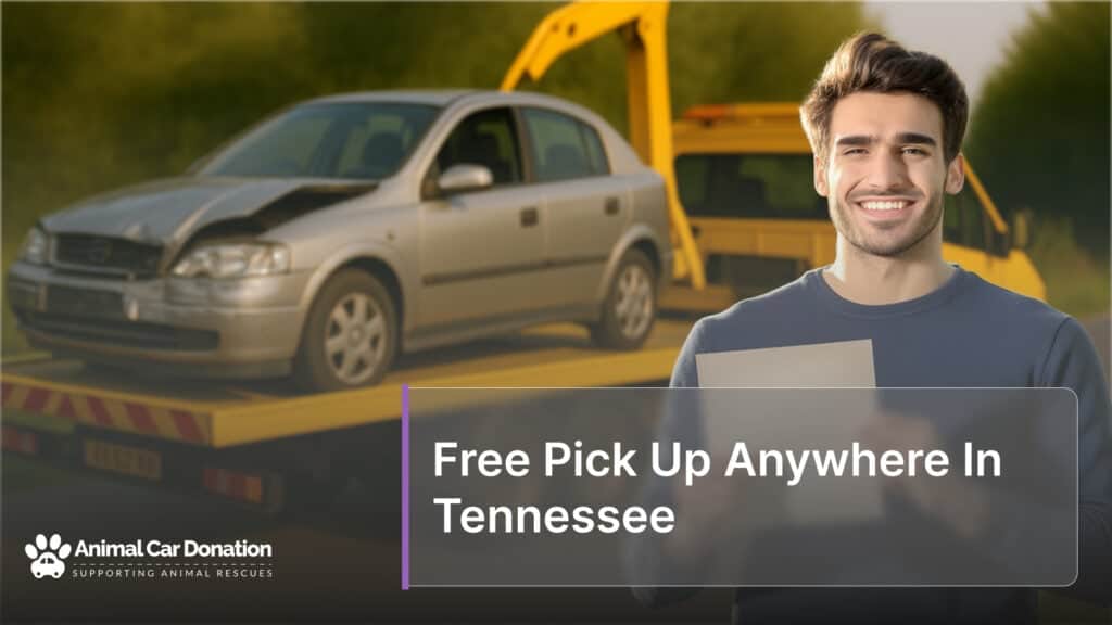 Free Pick Up Anywhere In Tennessee