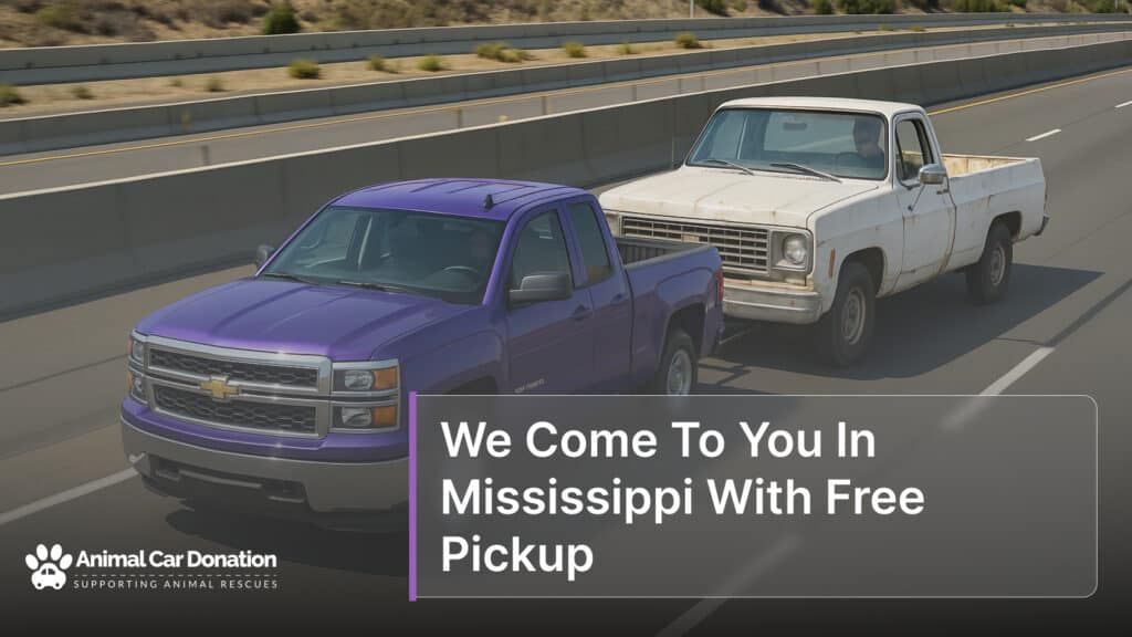 We Come To You In Mississippi With Free Pickup