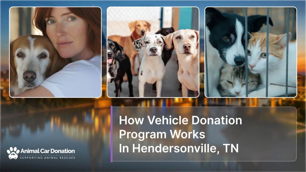 How Vehicle Donation Program Works In Hendersonville, TN