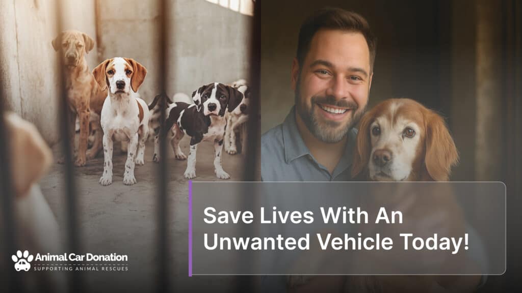 Save Lives With An Unwanted Vehicle Today!