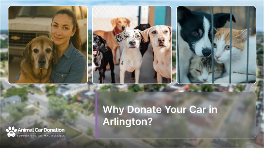Why Donate Your Car in Arlington