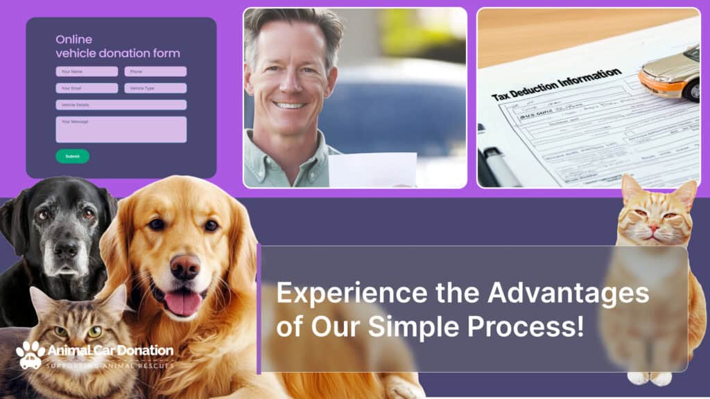 Experience the Advantages of Our Simple Process