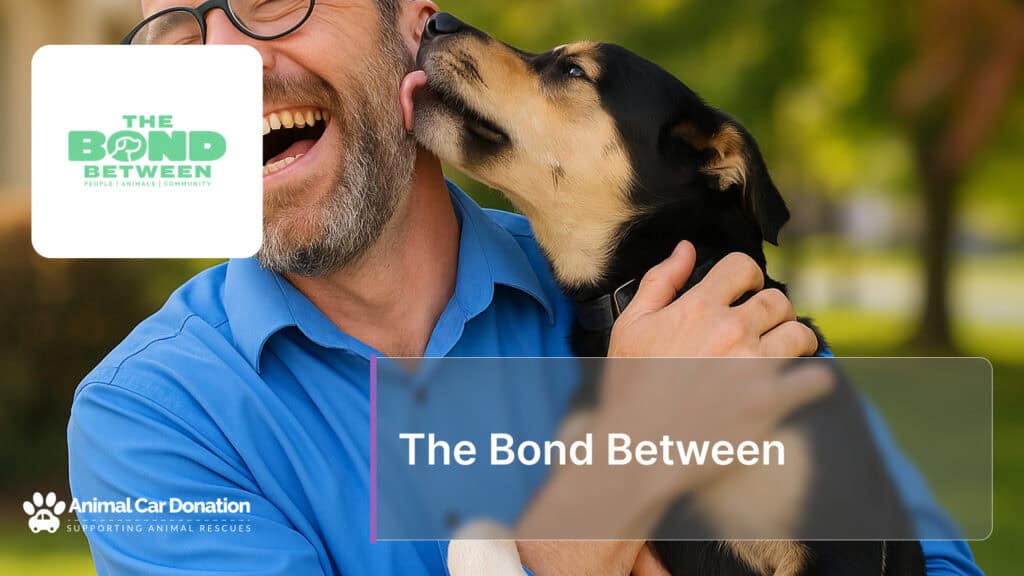 The Bond Between