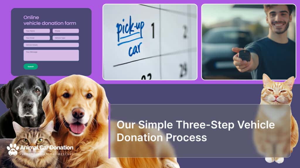 Our Simple Three-Step Vehicle Donation Process