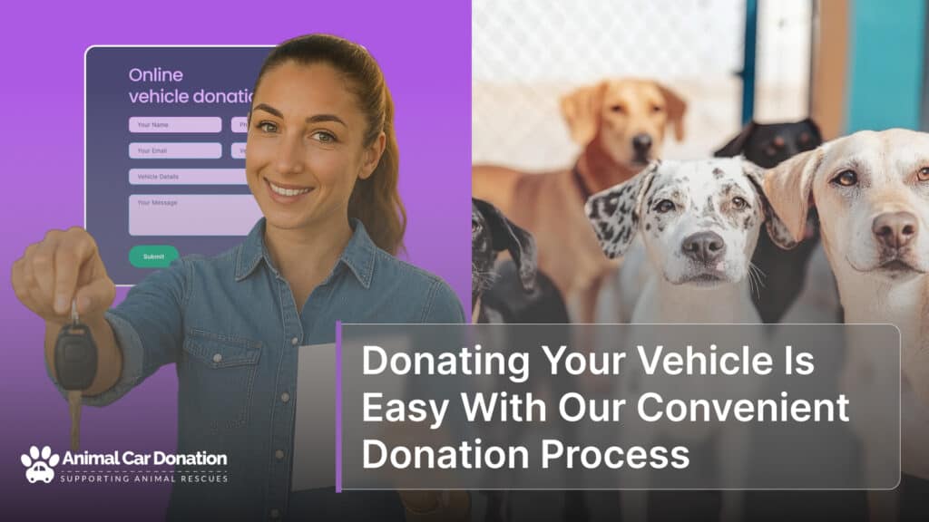 Donating Your Vehicle Is Easy With Our Convenient Donation Process
