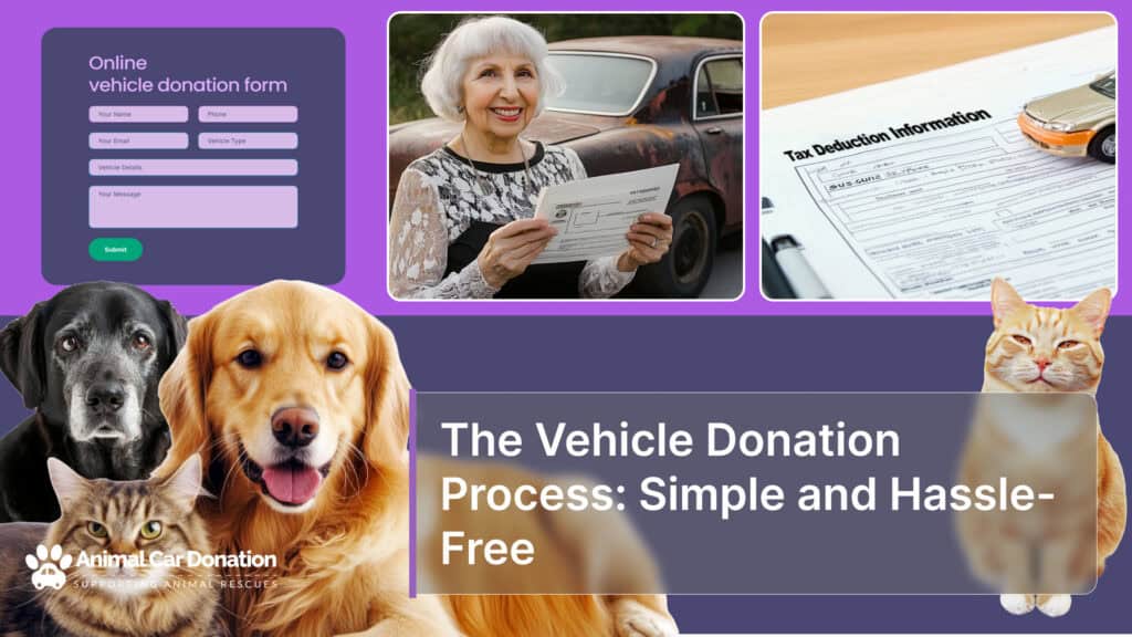 The Vehicle Donation Process: Simple and Hassle-Free