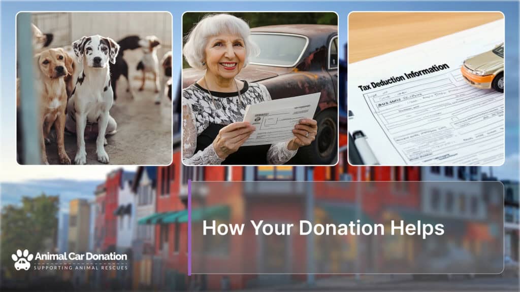 How Your Donation Helps
