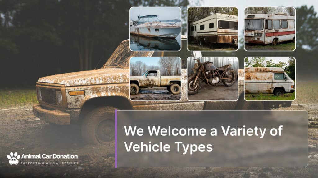 We Welcome a Variety of Vehicle Types