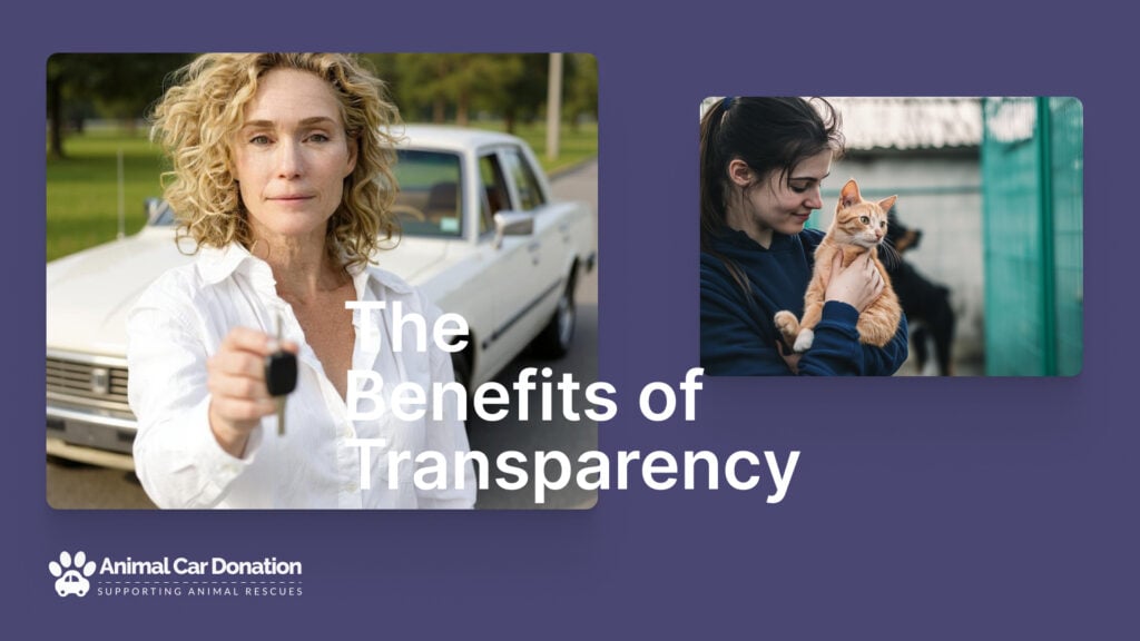 The Benefits of Transparency