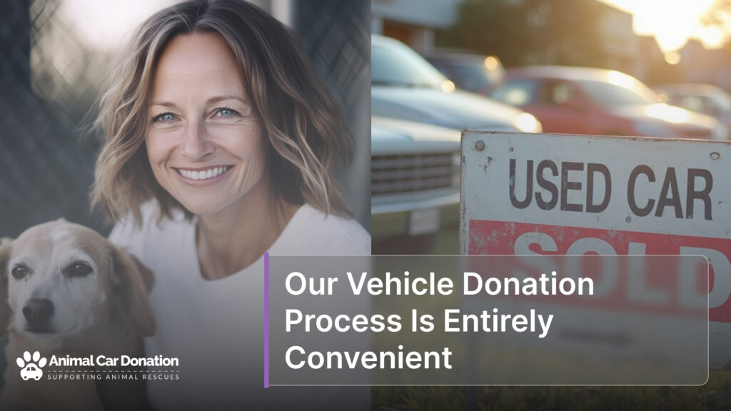Our Vehicle Donation Process Is Entirely Convenient