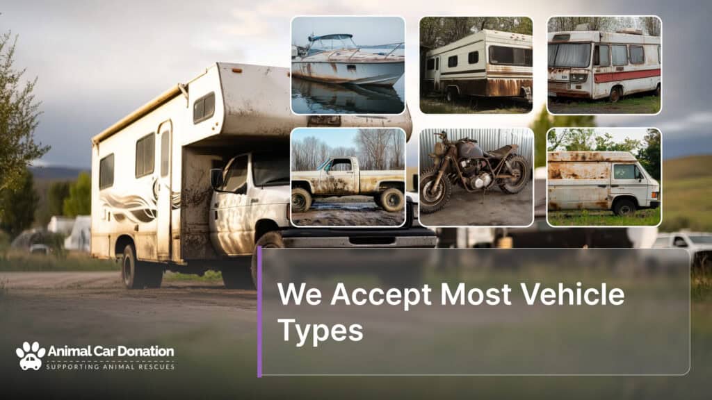 We Accept Most Vehicle Types