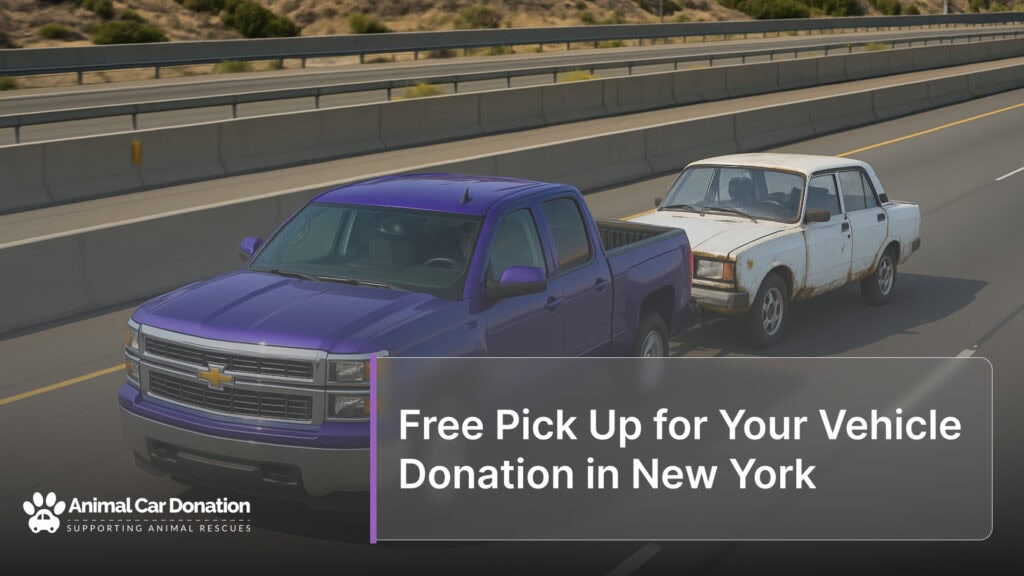 Free Pick Up for Your Vehicle Donation in New York