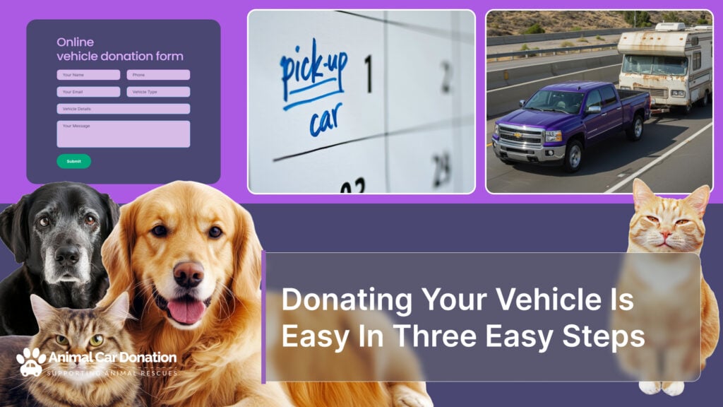 Donating Your Vehicle Is Easy In Three Easy Steps