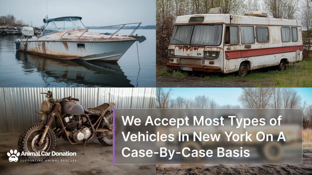 We Accept Most Types of Vehicles In New York On A Case-By-Case Basis