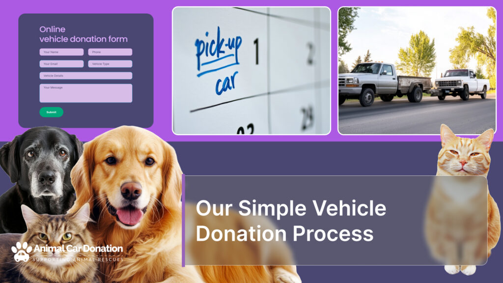 Our Simple Vehicle Donation Process