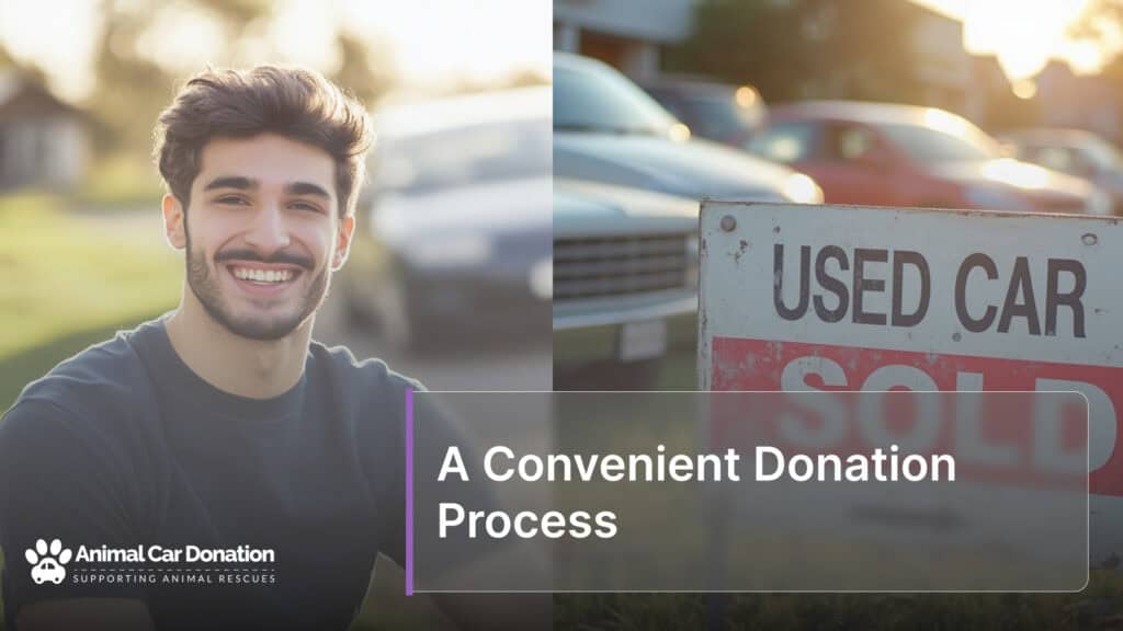 A Convenient Donation Process