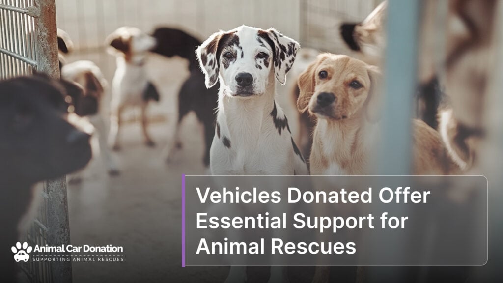 Vehicles Donated Offer Essential Support for Animal Rescues
