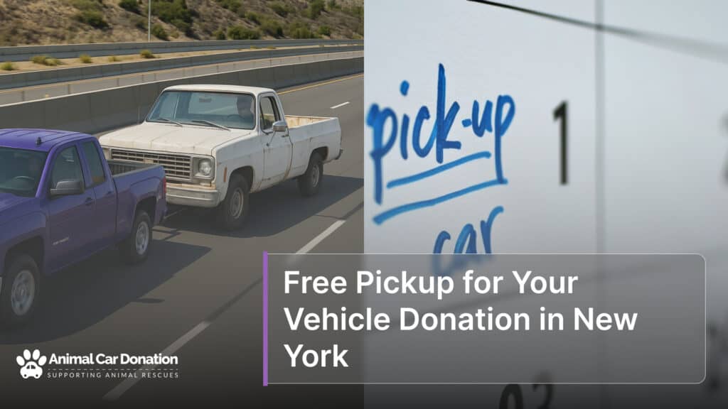 Free Pickup for Your Vehicle Donation in New York