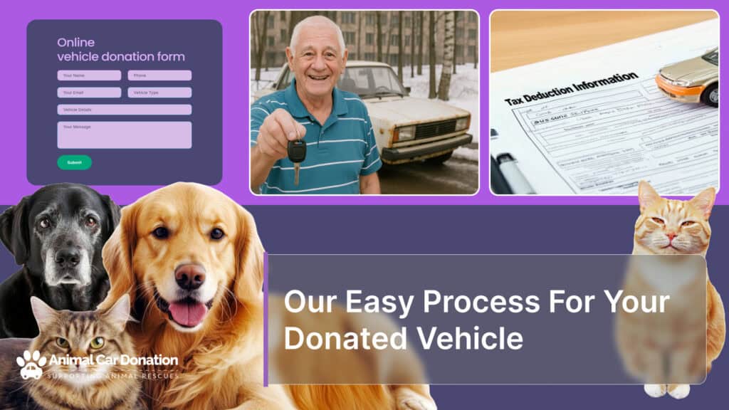 Our Easy Process For Your Donated Vehicle