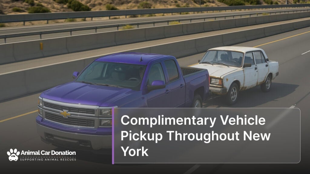 Complimentary Vehicle Pickup Throughout New York