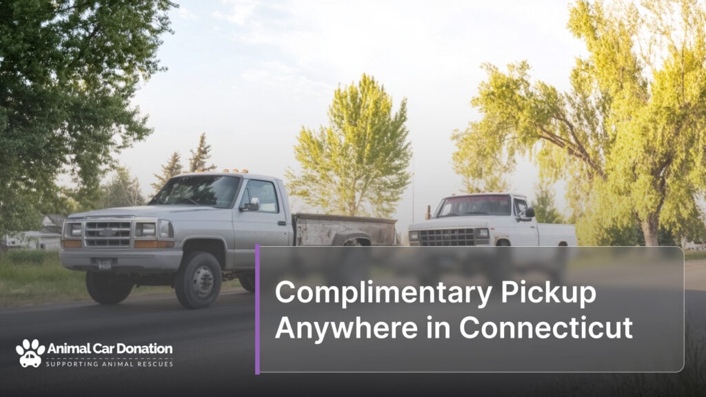 Complimentary Pickup Anywhere in Connecticut