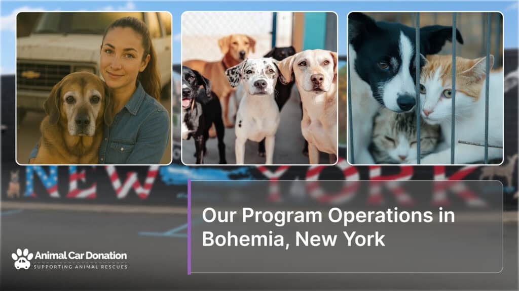 Our Program Operations in Bohemia, New York