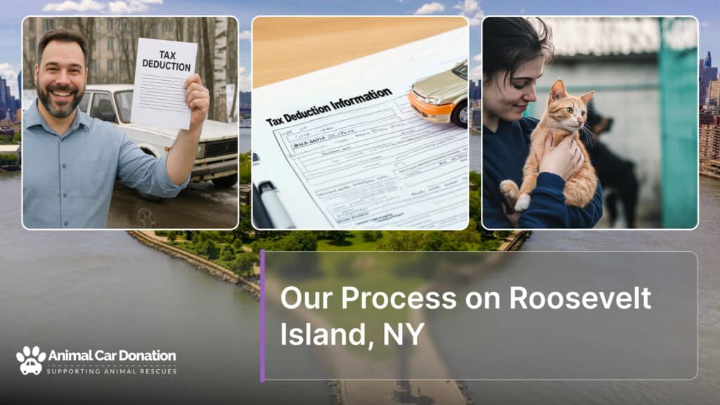 Our Process on Roosevelt Island, NY